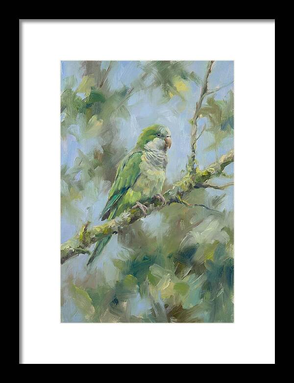 Parakeet Perched In Nature