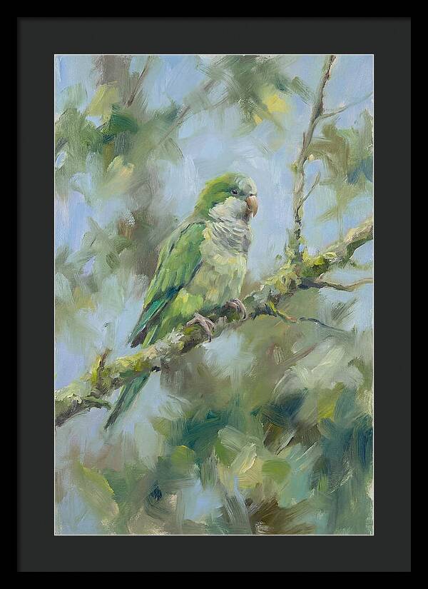 Parakeet Perched In Nature