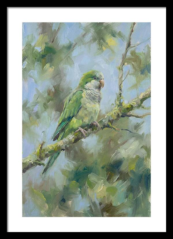 Parakeet Perched In Nature