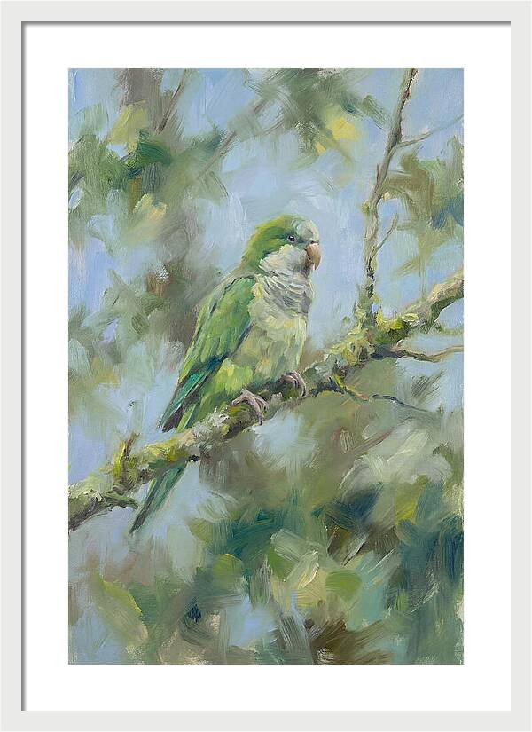 Parakeet Perched In Nature