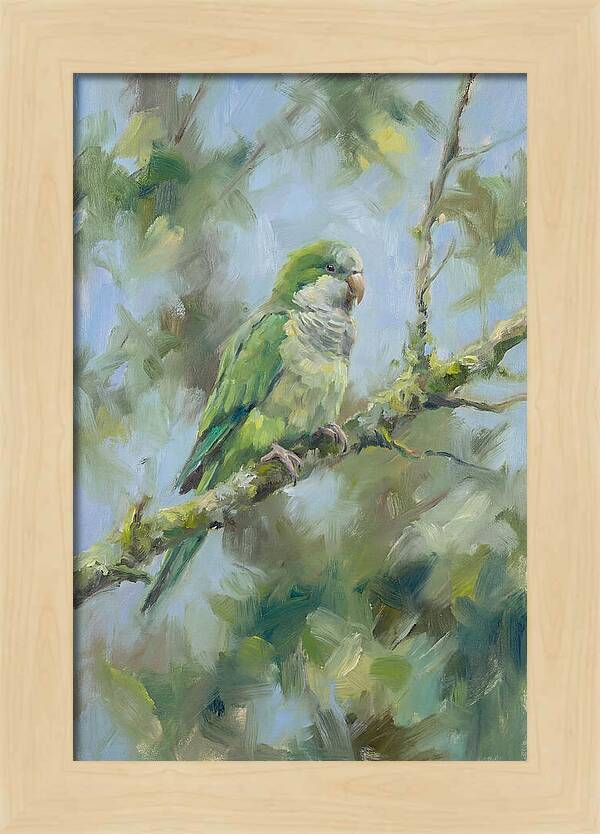 Parakeet Perched In Nature