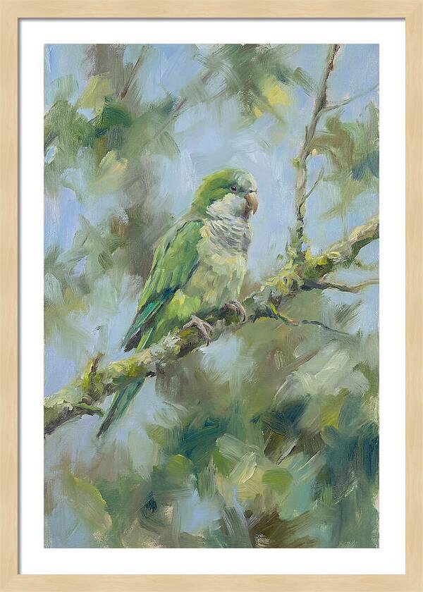 Parakeet Perched In Nature