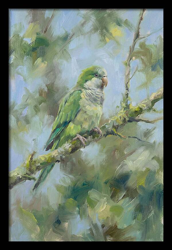 Parakeet Perched In Nature