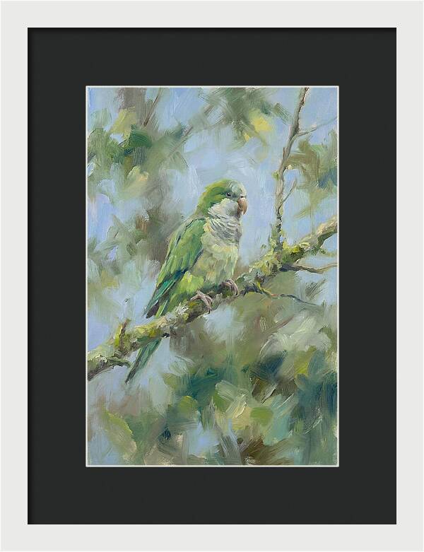 Parakeet Perched In Nature