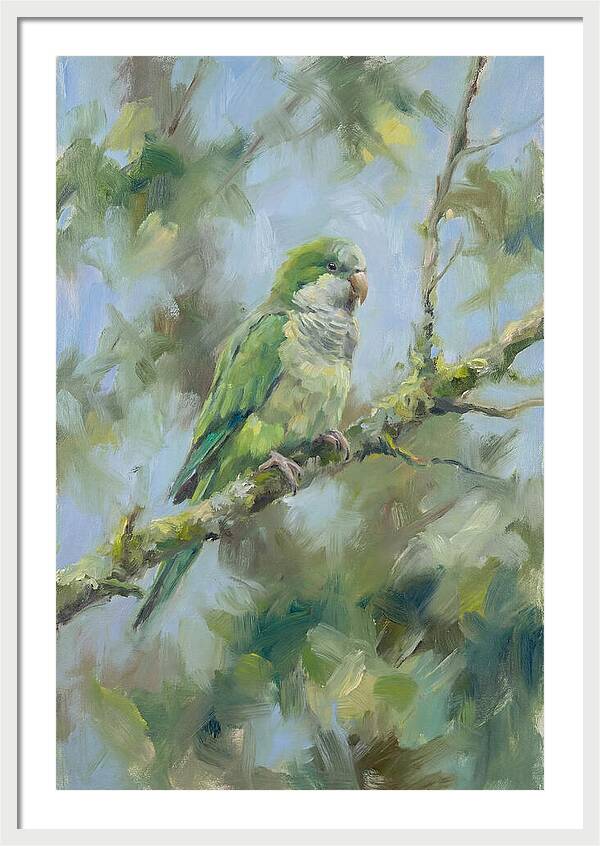 Parakeet Perched In Nature