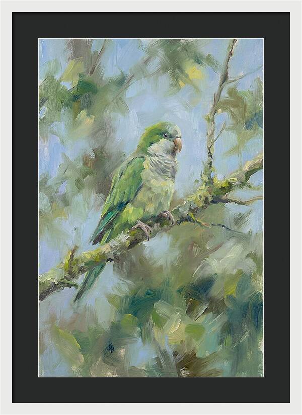 Parakeet Perched In Nature