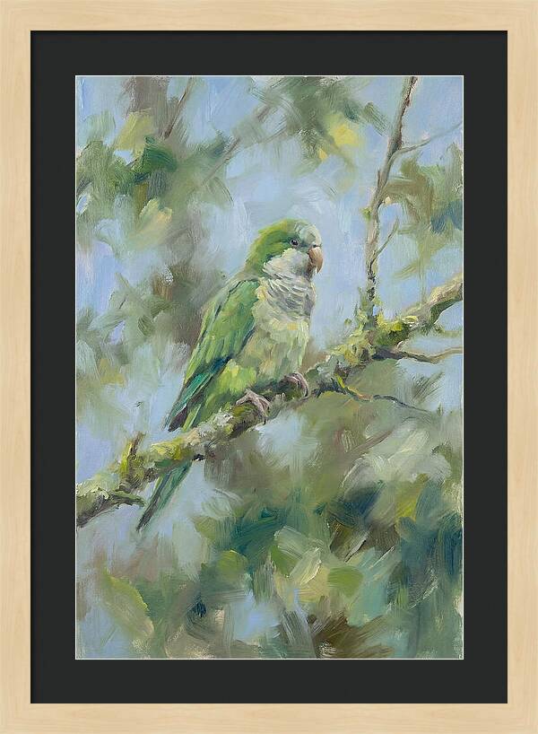 Parakeet Perched In Nature