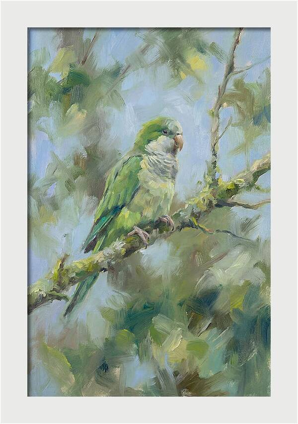 Parakeet Perched In Nature