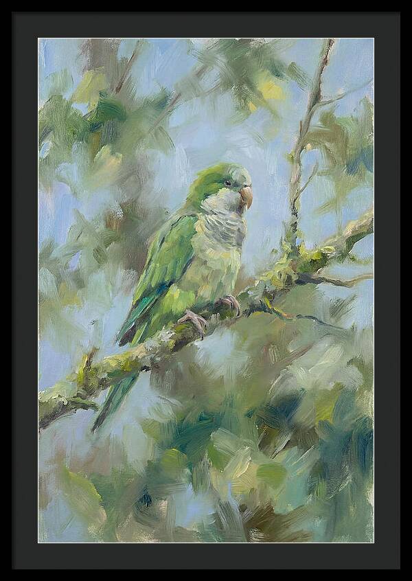 Parakeet Perched In Nature