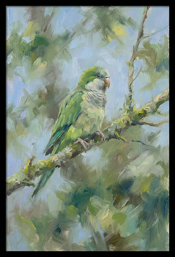 Parakeet Perched In Nature