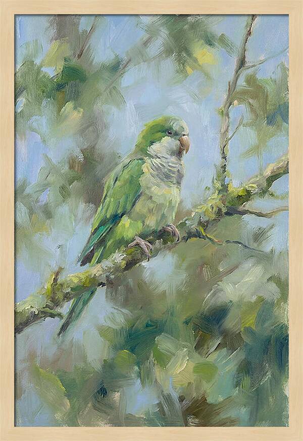 Parakeet Perched In Nature