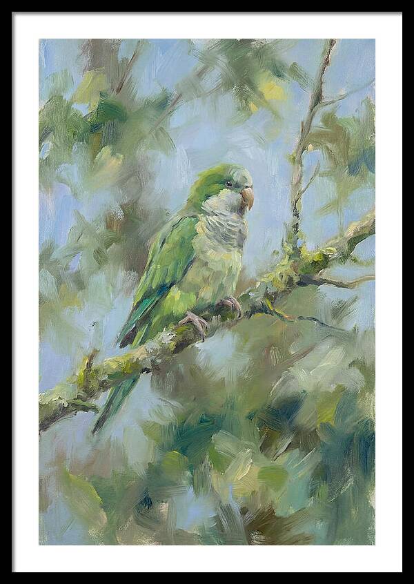 Parakeet Perched In Nature