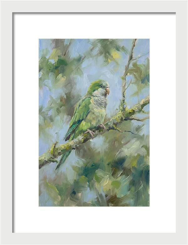 Parakeet Perched In Nature