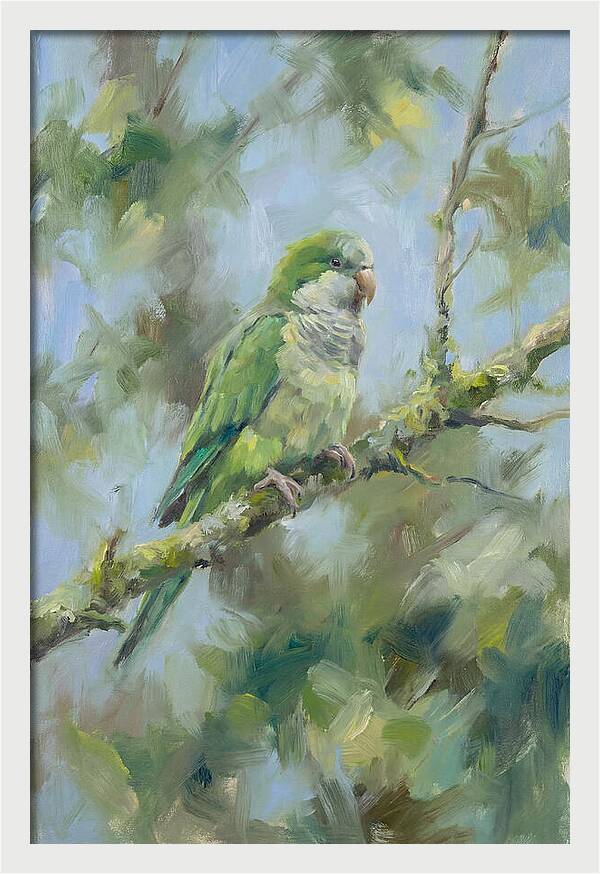 Parakeet Perched In Nature