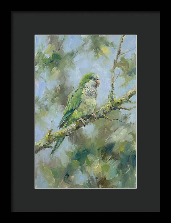 Parakeet Perched In Nature