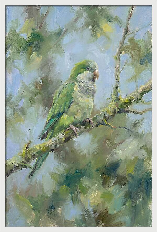 Parakeet Perched In Nature