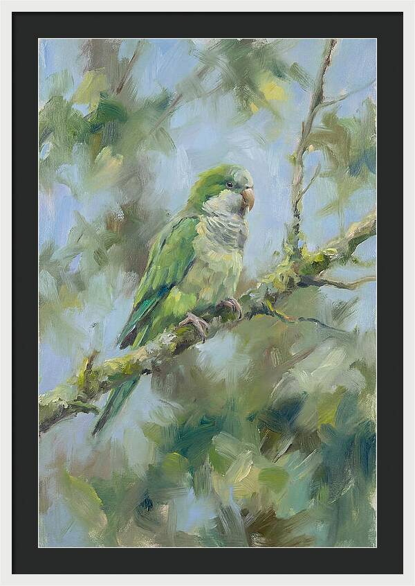 Parakeet Perched In Nature