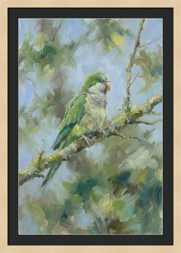 Parakeet Perched In Nature