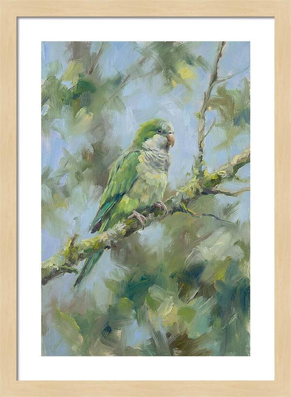 Parakeet Perched In Nature