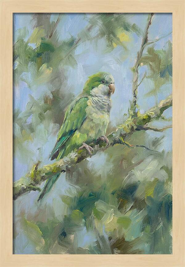 Parakeet Perched In Nature
