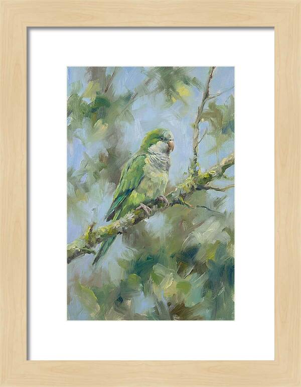 Parakeet Perched In Nature