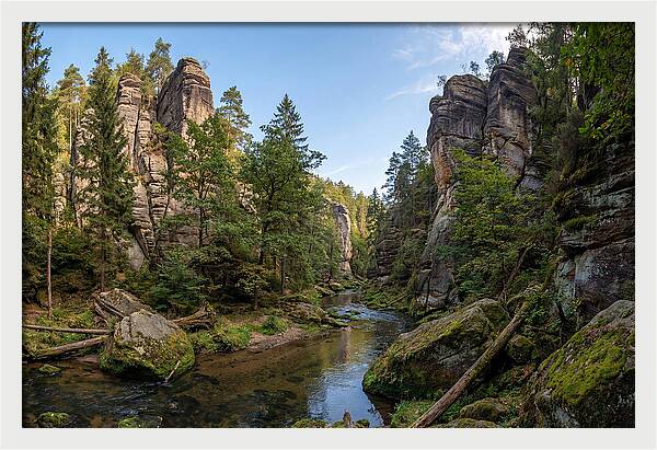 Parfrey Glen Serenity