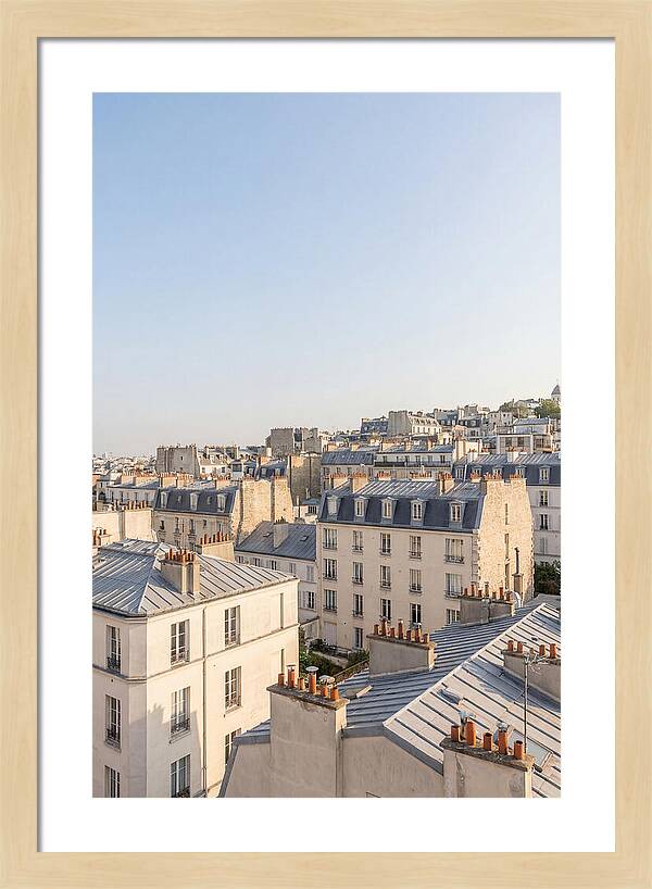 Parisian Rooftops At Dusk