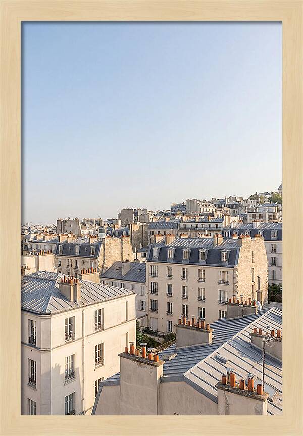 Parisian Rooftops At Dusk