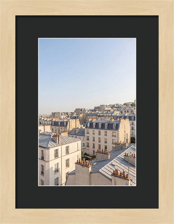 Parisian Rooftops At Dusk