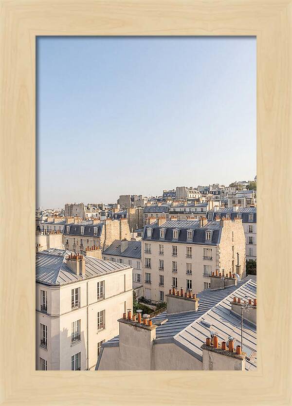 Parisian Rooftops At Dusk