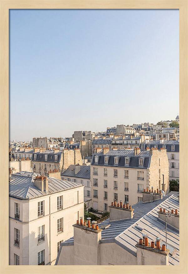 Parisian Rooftops At Dusk