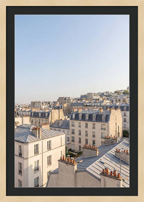 Parisian Rooftops At Dusk
