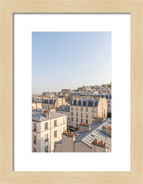 Parisian Rooftops At Dusk