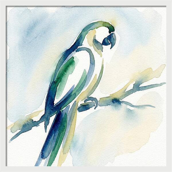 Parrot Perched In Watercolor
