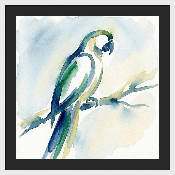 Parrot Perched In Watercolor