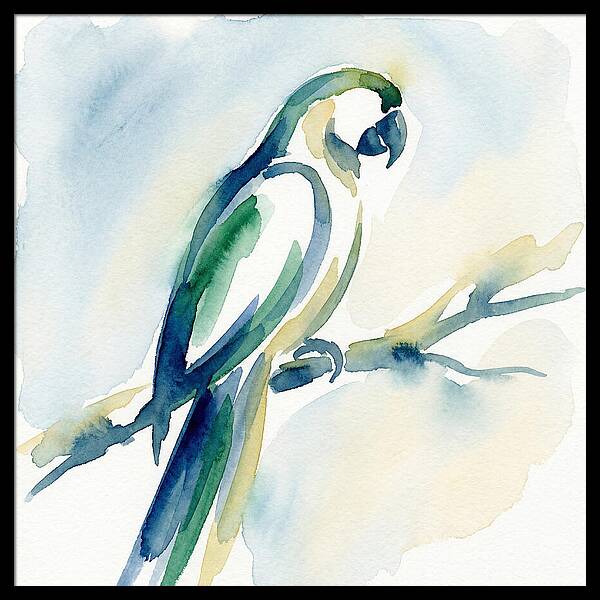 Parrot Perched In Watercolor