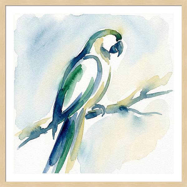 Parrot Perched In Watercolor