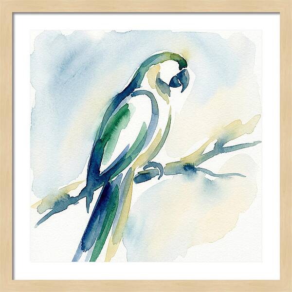 Parrot Perched In Watercolor