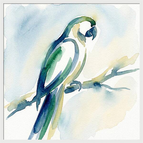 Parrot Perched In Watercolor