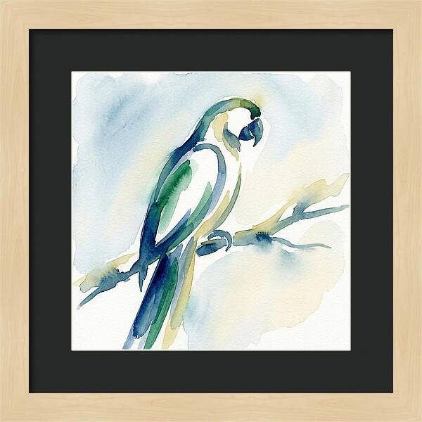 Parrot Perched In Watercolor