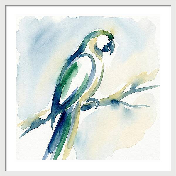 Parrot Perched In Watercolor