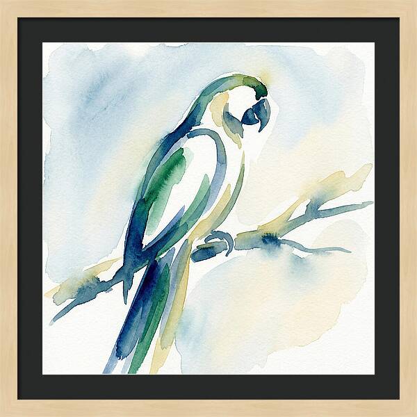 Parrot Perched In Watercolor