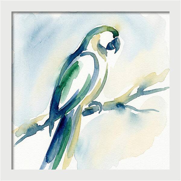 Parrot Perched In Watercolor