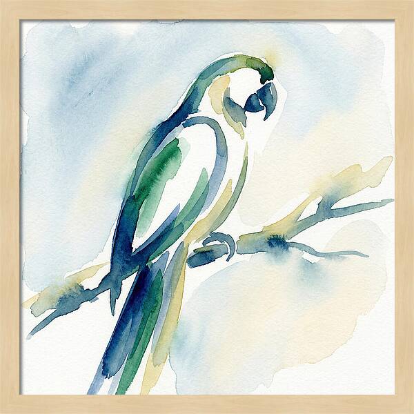 Parrot Perched In Watercolor