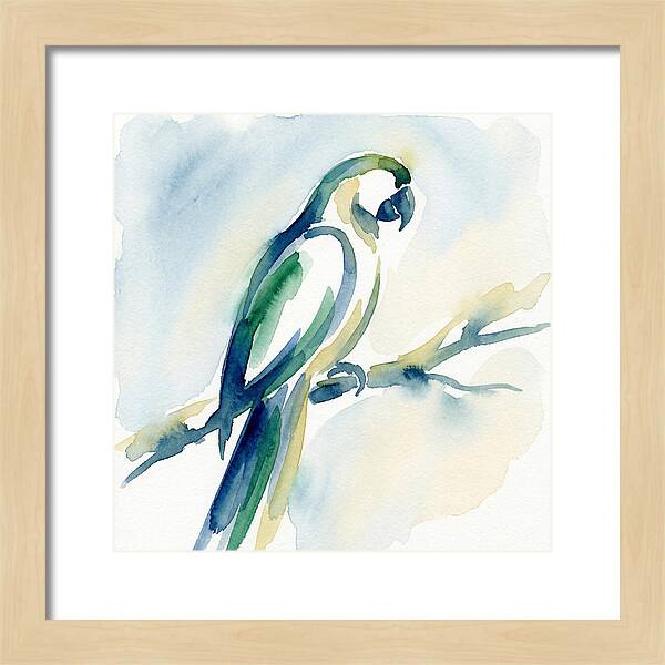 Parrot Perched In Watercolor
