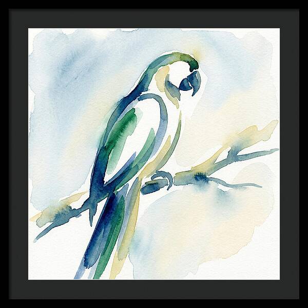 Parrot Perched In Watercolor
