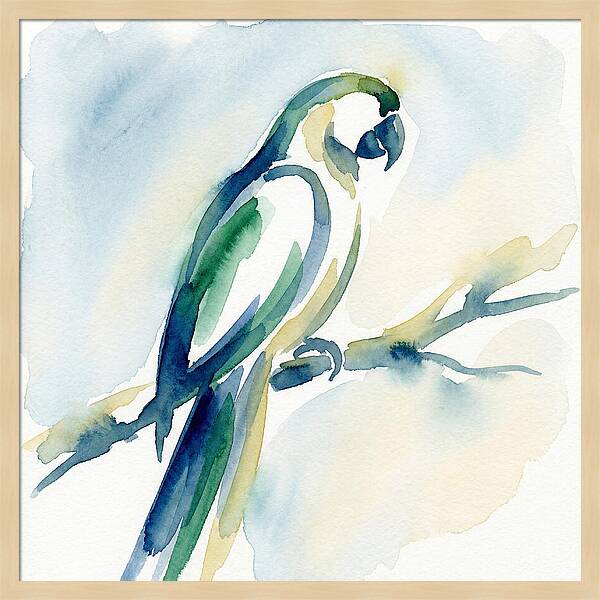 Parrot Perched In Watercolor