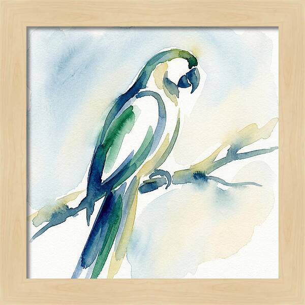 Parrot Perched In Watercolor