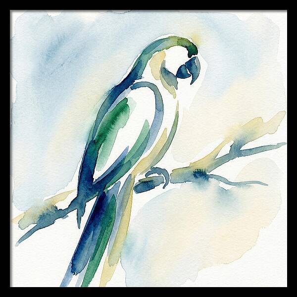 Parrot Perched In Watercolor