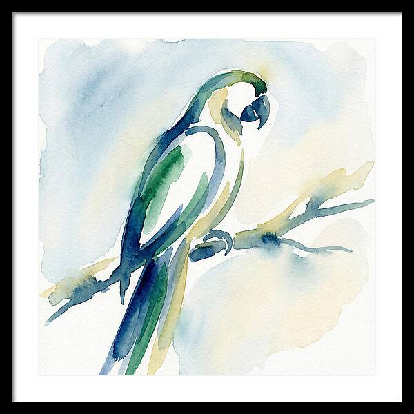 Parrot Perched In Watercolor